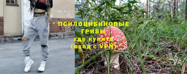 трава Корсаков