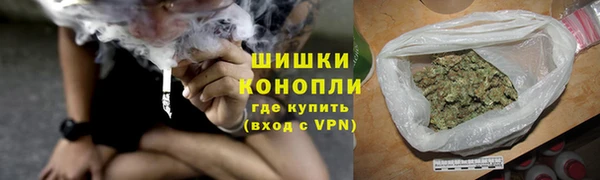 трава Корсаков