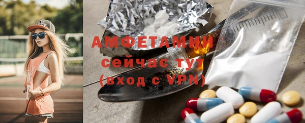 трава Корсаков
