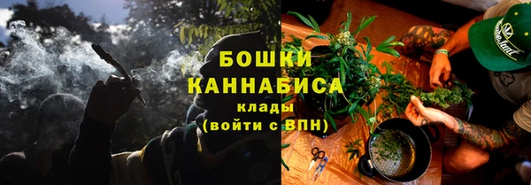 трава Корсаков