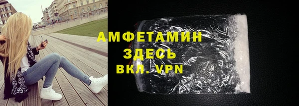 трава Корсаков