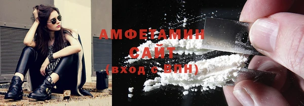 трава Корсаков