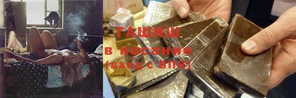 трава Корсаков