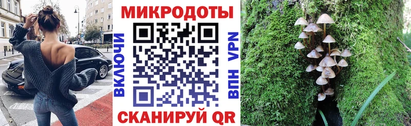 Псилоцибиновые грибы мухоморы  Купить закладки  Кемь 